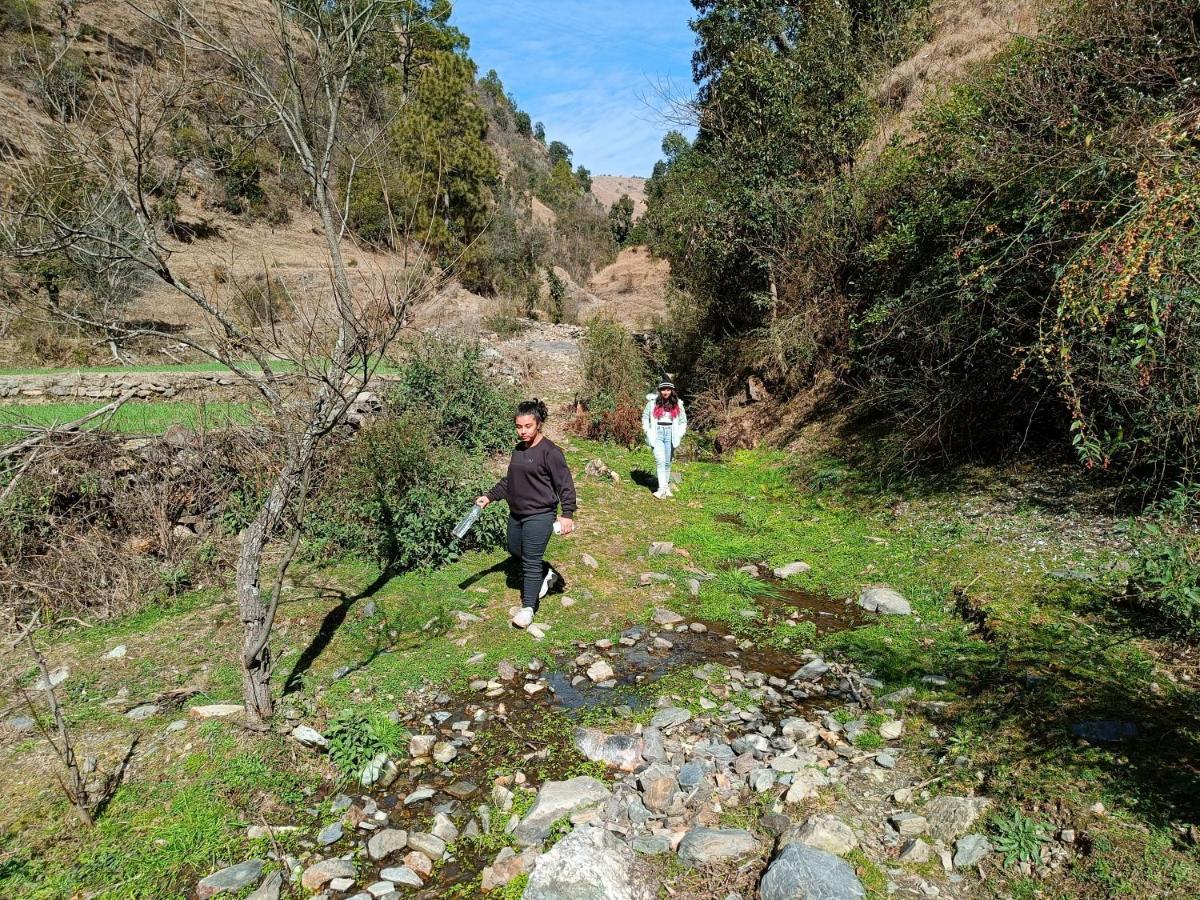 Skywood Resort Shoghi Shogi Ngoại thất bức ảnh
